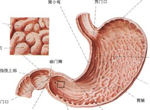 吃什么药可以治疗输尿管狭窄 4001.jpg